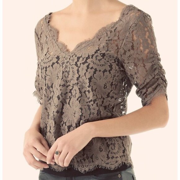 Joie Sz S Olive Brown Deep V Sheer Scalloped Eyelash Lace Top Blouse Ruched - Picture 5 of 12